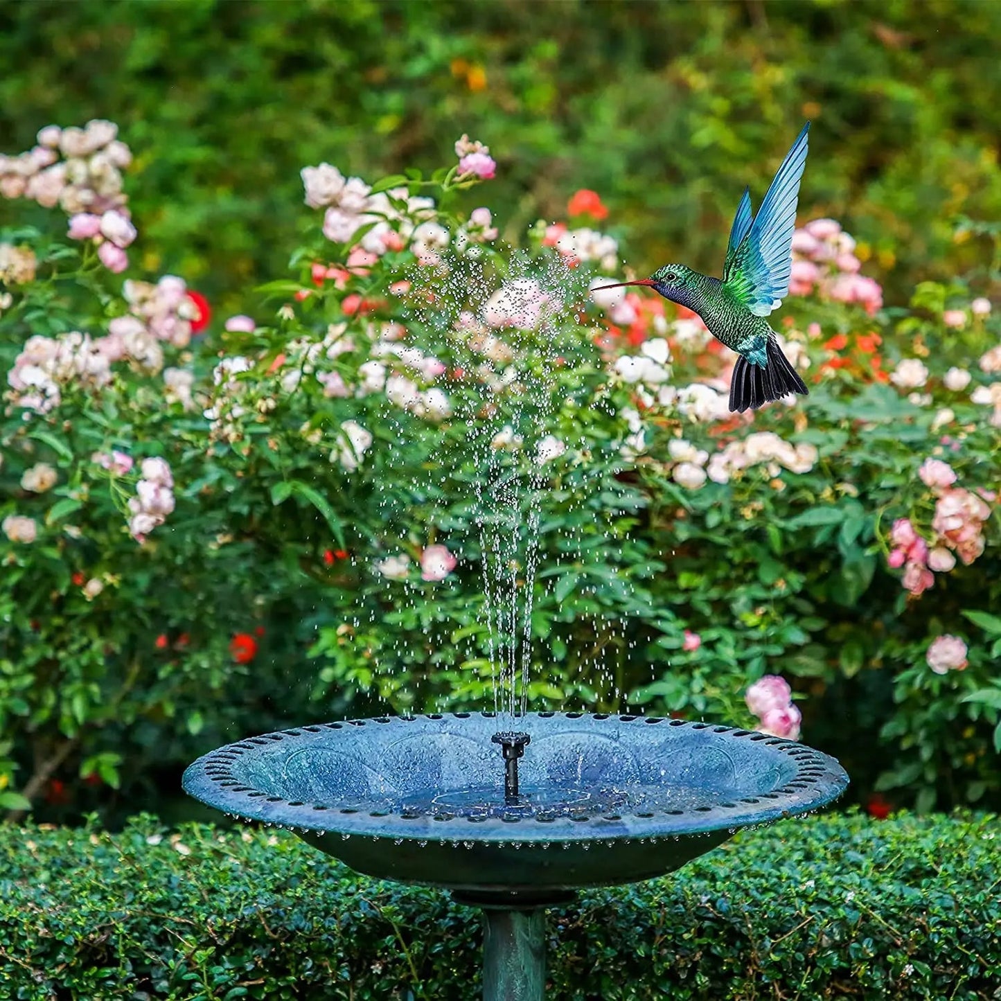 Solar Water Fountain